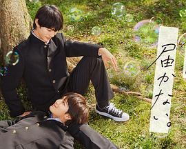 附近seo排名优化细节